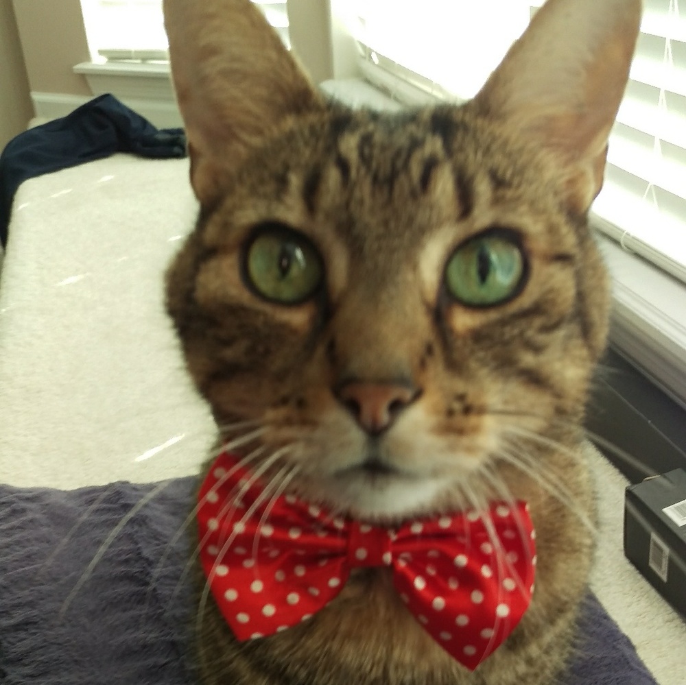 Meet your Posher, Charles